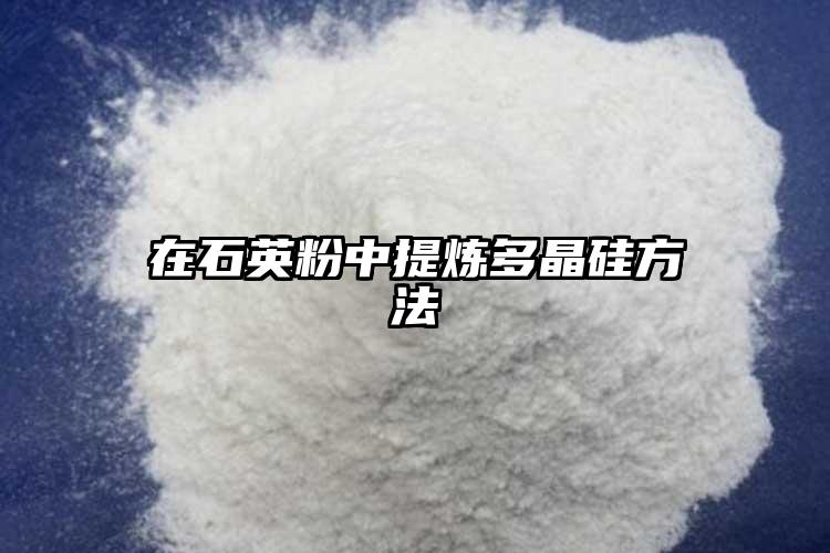 在美女日皮视频软件粉中提炼多晶硅方法