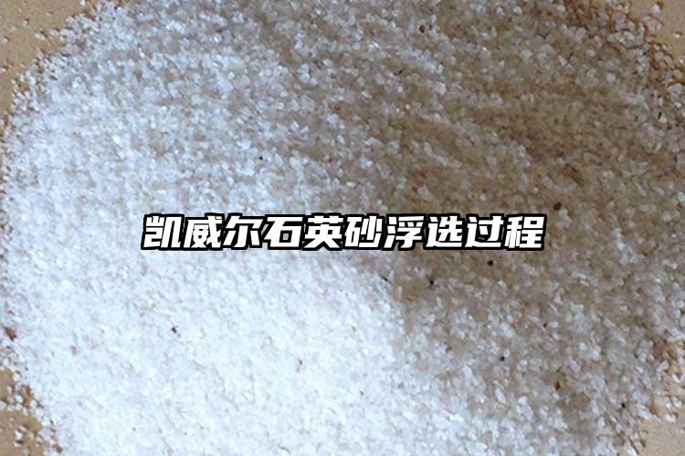 生产厂家美女日皮视频软件砂浮选过程